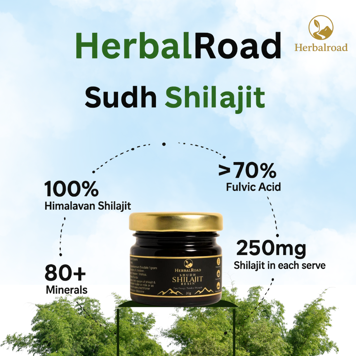 Herbalroad Himalayan Shilajit Resin - 100% Pure & Original