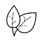 Ayurvedic Formulation