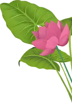 Decorative