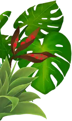 Decorative
